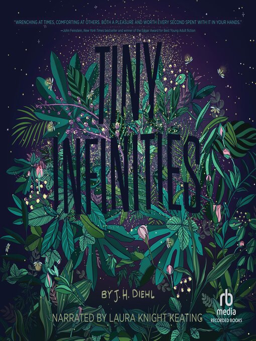 Title details for Tiny Infinities by J.H. Diehl - Wait list